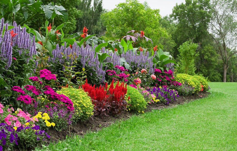 استخدام باغبان در رشت